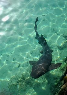 Isla Mujeres, Mexico