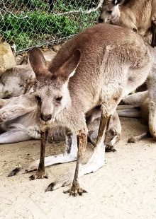 Sydney, Australia